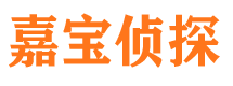 宁城市侦探公司